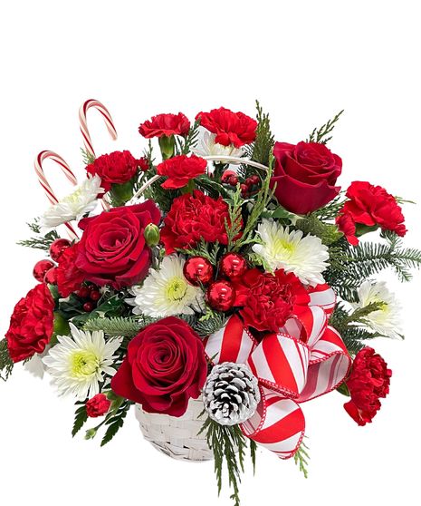 carnation, roses, christmas greens, pine cones, cinnamon, plaid ribbon, wicker basket