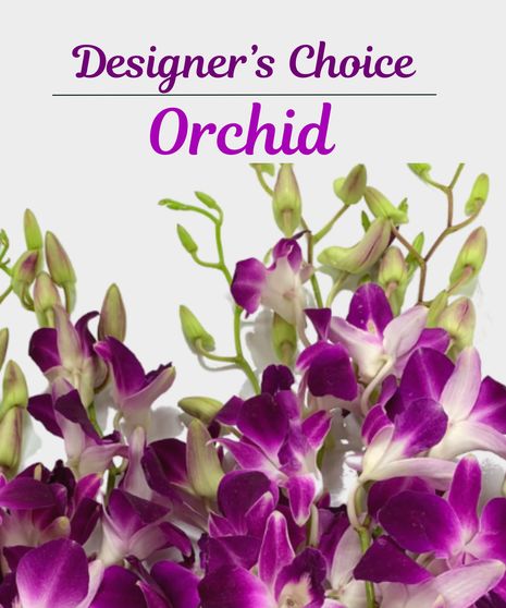  freshest and most exquisite orchids 