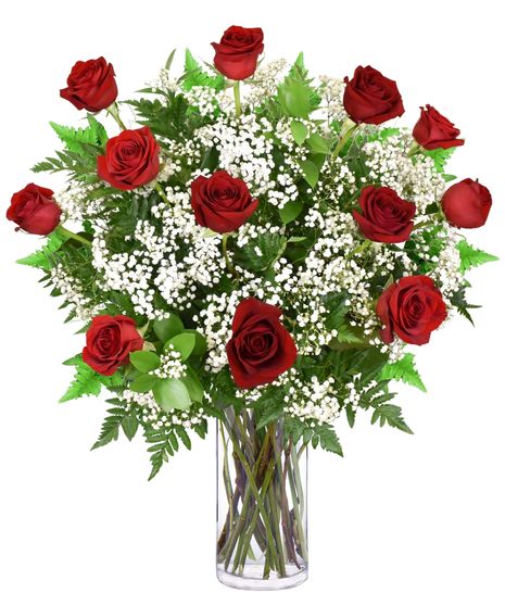 One Dozen Red Roses