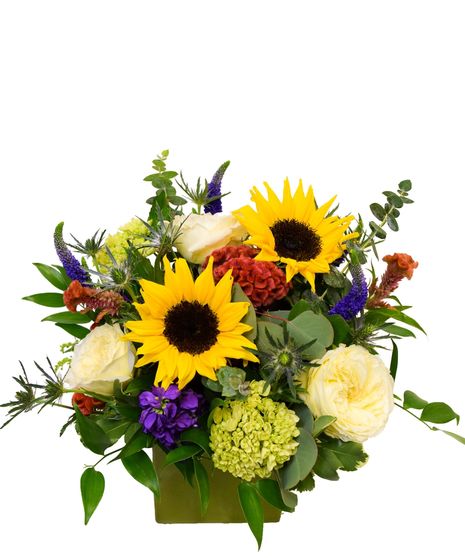 A bright arrangement of sunflowers and garden roses arranged in a ceramic container.