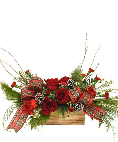 carnation, roses, christmas greens, pine cones, cinnamon, plaid ribbon, wicker basket